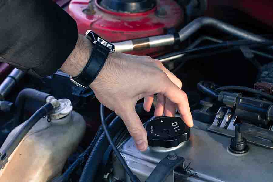 checking the oil levels in the car