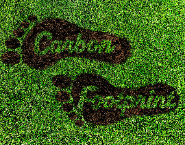 Carbon footprint symbol on fresh green lawn