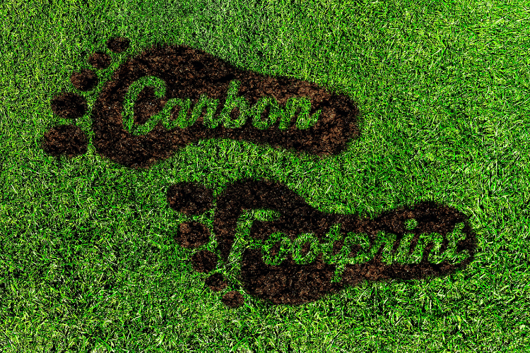 Carbon footprint symbol on fresh green lawn